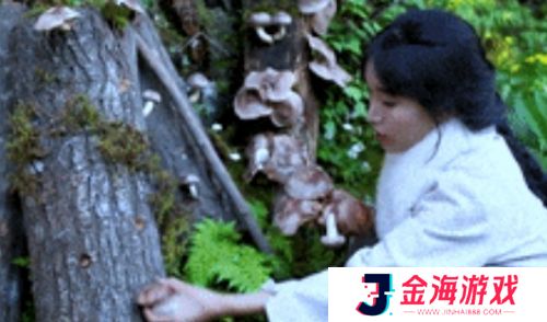 李子柒再度火上热搜，做缙云烧饼，品丽水美食，现实版“世外桃源”