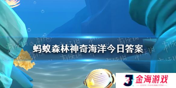 蓝藻都是蓝色的吗 神奇海洋1月1日答案